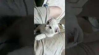 Немножко позитива.