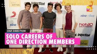 Solo Careers of One Direction Members: Their Paths After the Boyband's Hiatus