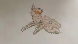 Заказы #1