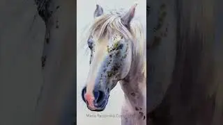 My new baby - blue/violet horse - and future class