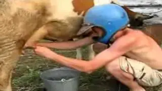 Сыер сава! (ПРИКОЛ)