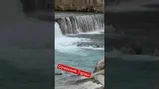 Сочинский ТАРЗАН купается ЗИМОЙ в реке 