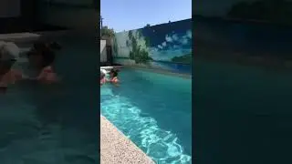 Отдых в Витязево. Жилье 89086789101