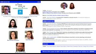 Webinars SEBBM - Elevator Pitch 5