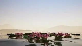 Lake with lotus | Videohive Project Templates