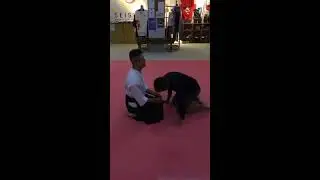 Okinawa Asato Dojo Aikiwakai Aiki Friends Training