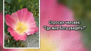Спросил человек: "Где мне Бога увидеть?" (+)