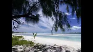 Mennesker bliver spist i Polynesien