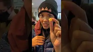Cheddar cheese was invented here England (vlog)