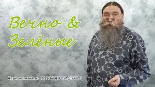 Получил Кафрские лаймы. Кафрики - прибытие... Вечно & Зелёные - Фикусы и Цитрусы