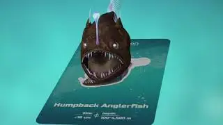 Ocean 4D+ Humpback Anglerfish | Octagon Studio