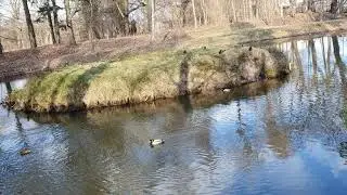 Lepsze samopoczucie i kondycja? podejmij ze mną wyzwanie 🥰