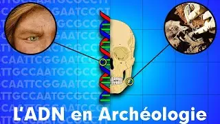 L'ADN en archéologie 🧬 [ST]