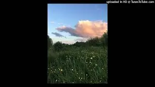 (free) indie bossanova x laufey type beat - "trust"