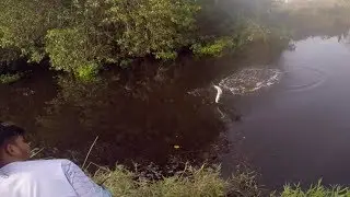 Canal tarpon fishing