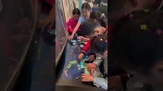 Квест игра