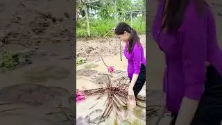 Emmm