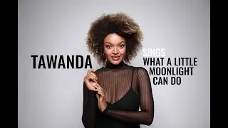 What A Little Moonlight Can Do (Official Music Video).