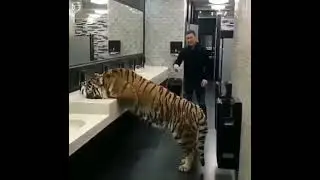 🐕🐈Угарные животные | Мурло, у меня свидание!😹😹😹