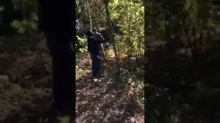 Чистка территории