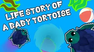 Mope.io| LIFE *STORY* OF A Baby Tortoise in MOPE.IO