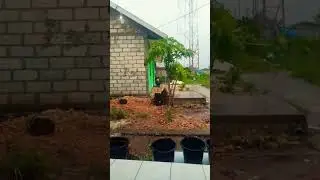 Perbaiki tower telkomsel#videoshort