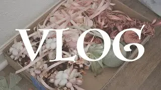 Поболтаем!!! К чему сейчас готовлюсь и что делаю !? DIY TSVORIC
