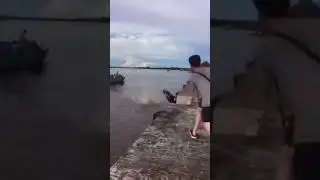 WADUH!! KOK BISA BEGITU YA NGABERS?? TOLONG NGAB....