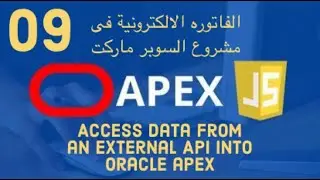 access data from an external api into oracle apex-09