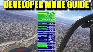 FS2024: Developer Mode - What Is it? | How To Enable It & What Info Does IT Offer You?