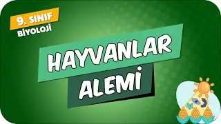 Hayvanlar Alemi | 9.Sınıf Biyoloji 