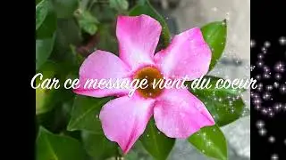 LES FLEURS DU COEUR