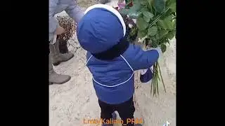 Дорогие женщины, только вы сможете спасти ваших сыновей!