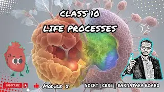Complete Guide to Life Processes in Class 10 NCERT | Module 5