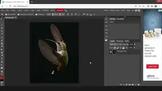 Tutorial Photopea : Memberikan Efek Pada Gambar Bitmap