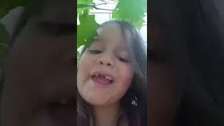 5 червня 2023 р.