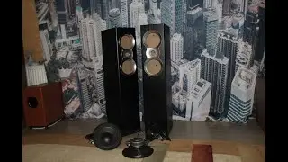 Доработка акустики Cortland S-250 ( Часть 1 )