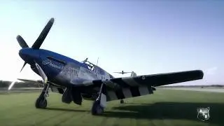 Why we Love P51 Mustangs