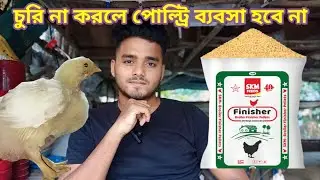 চুরি না করলে পোল্ট্রি ব্যবসা করোনা।। শুনতে অবাক লাগছে? ভিডিওটি পুরো দেখো।।