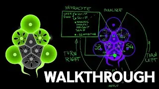 The Thunder Avoider Revealed | Cell Lab Walkthrough