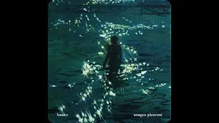wallace cleaver & selug Type Beat "Nuages pleurent"