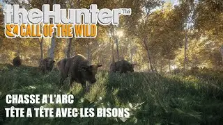 THEHUNTER COTW - AU PIED... LES BISONS