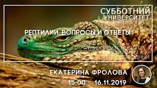 СУ #62 Рептилии: вопросы и ответы