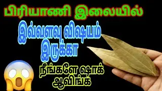 வீட்டில் கரப்பான் பூச்சி, பல்லி தொல்லையா சூப்பர் ஐடியா | kitchen tips in Tamil