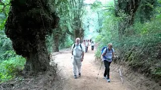 Day 2: Sarria to Portomarin