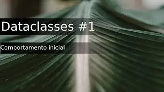 Python dataclasses #1 - Comportamento básico