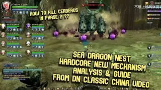 SDN HC Dragon Stage Analysis & Guide Tanker & DPS POV From DN Classic China Video (New Mechanism)