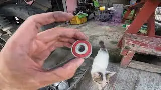 REPLACING CRANK CASE BEARING