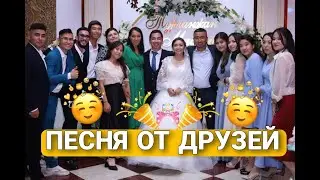 Песня молодожёнам на свадьбу  - от друзей и коллектива