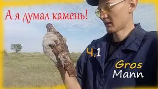 А я думал камень! металокоп Ч.1#металокоп2023